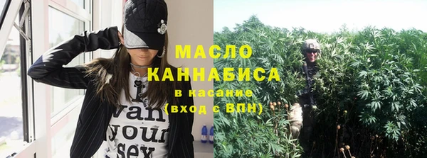 соль ск Инсар