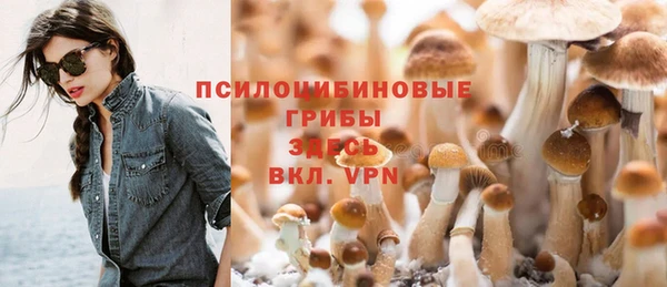 а пвп мука Иннополис