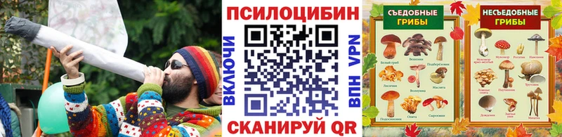 Купить Красный Сулин Псилоцибиновые грибы MAGIC MUSHROOMS